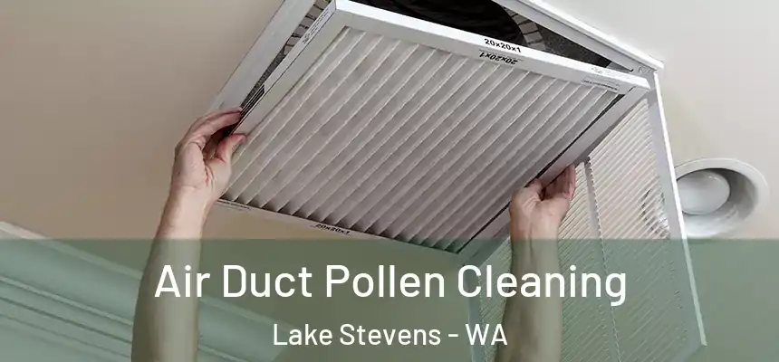 Air Duct Pollen Cleaning Lake Stevens - WA