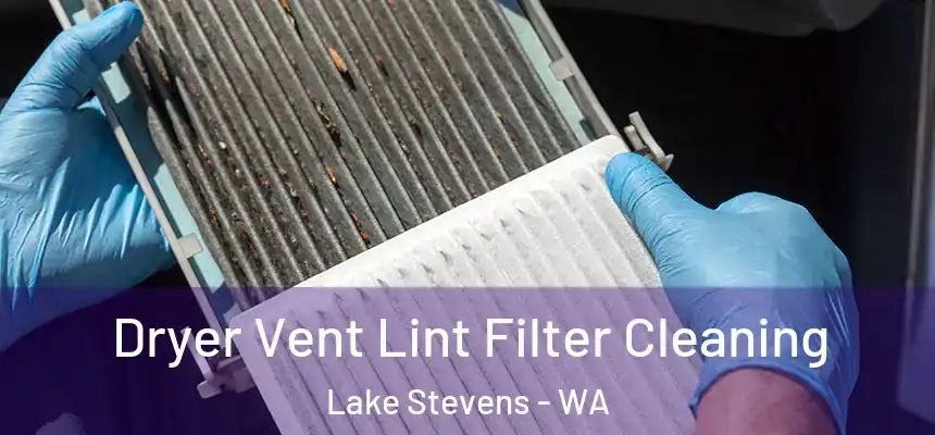 Dryer Vent Lint Filter Cleaning Lake Stevens - WA