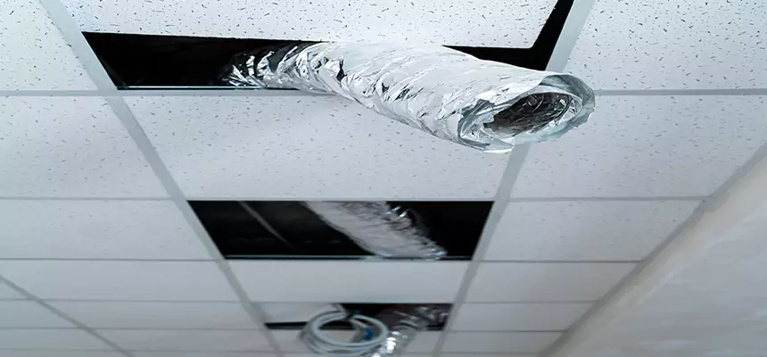 Our Air Duct Pet Hair Removal Services in Lake Stevens, WA