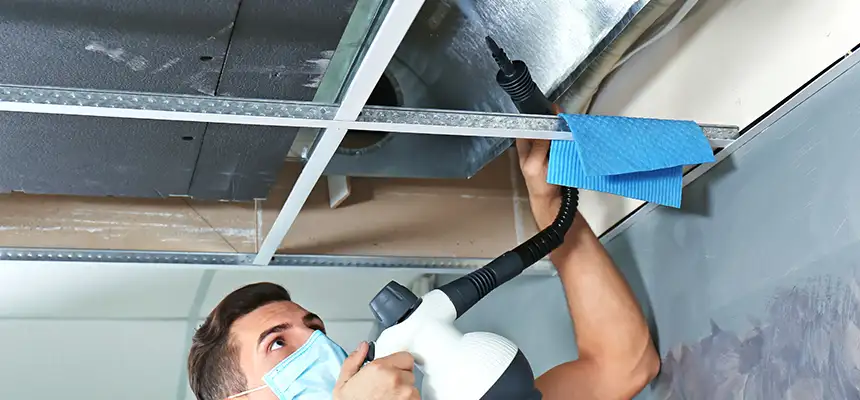 Our Air Duct Rodent Removal Services in Lake Stevens, WA