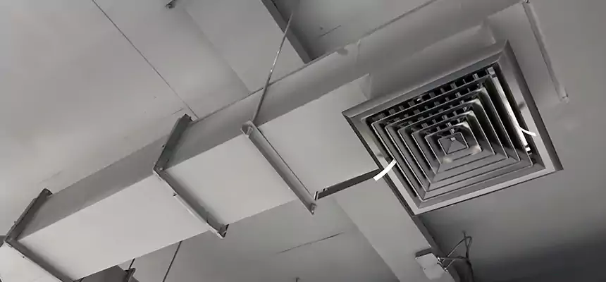 Our Rodent Droppings In Vents Services in Lake Stevens, WA