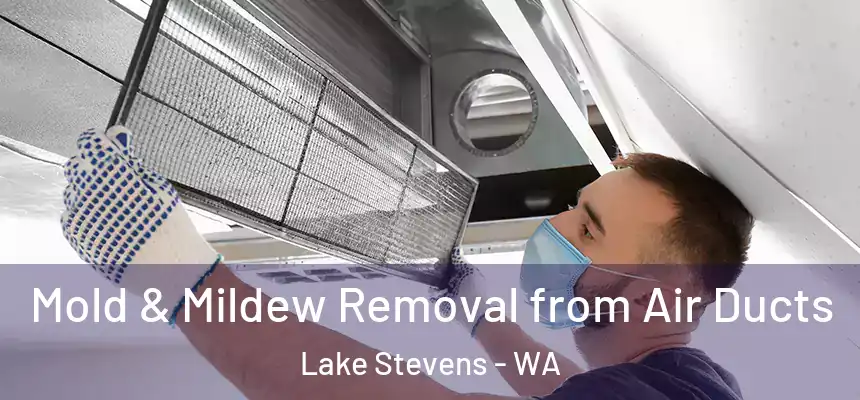  Mold & Mildew Removal from Air Ducts Lake Stevens - WA