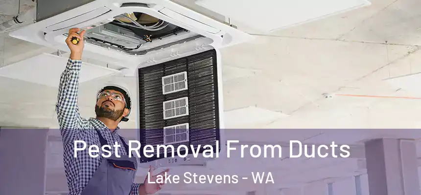  Pest Removal From Ducts Lake Stevens - WA