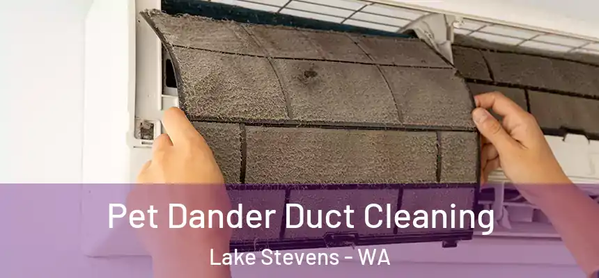  Pet Dander Duct Cleaning Lake Stevens - WA
