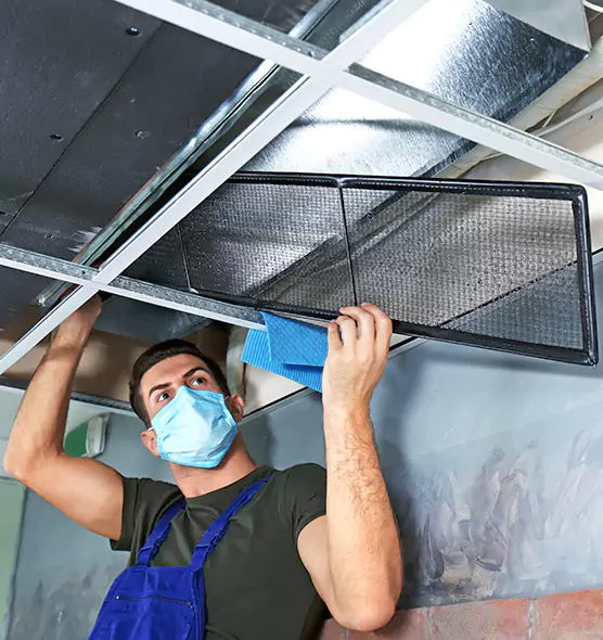 About Air Duct Bacteria Removal in Lake Stevens