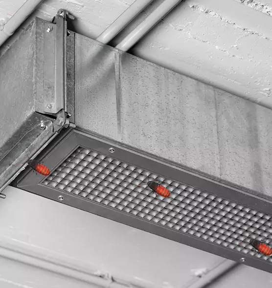 About Air Duct Cockroach Removal in Lake Stevens, WA