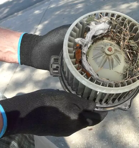 About Air Duct Mice Removal in Lake Stevens, WA