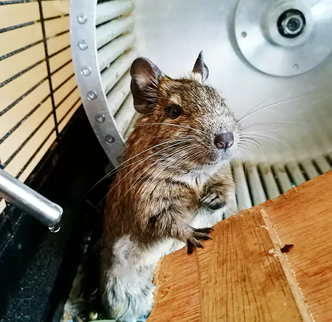 Why Homeowners & Businesses Trust Us Lake Stevens, WA?