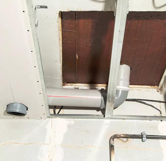 Why Homeowners & Businesses Trust Us in Lake Stevens, WA?