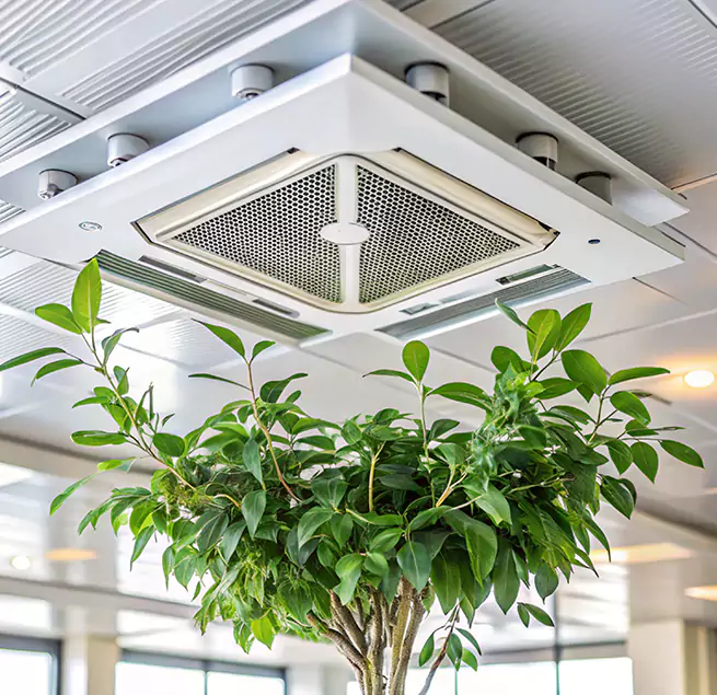 Why Homeowners & Businesses Trust Us in Lake Stevens, WA?