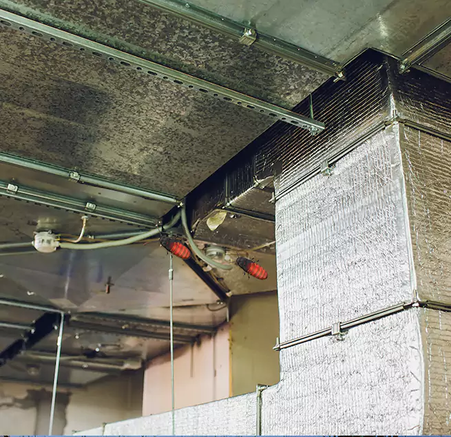 Why Homeowners & Businesses Trust Us Lake Stevens, WA?