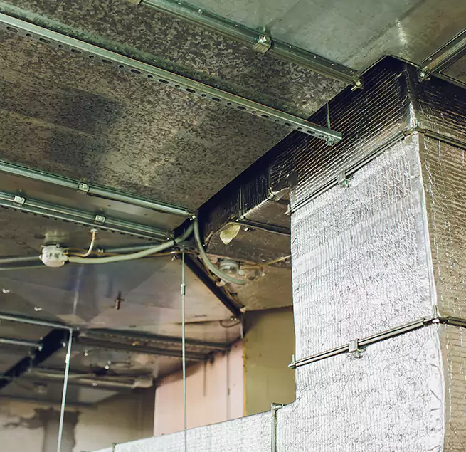 Why Homeowners & Businesses Trust Us in Lake Stevens, WA?