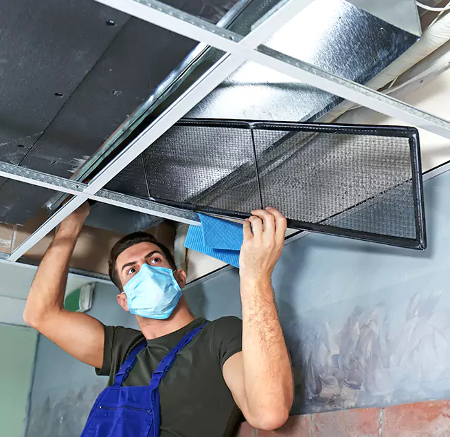 Why Homeowners & Businesses Trust Us in Lake Stevens, WA?